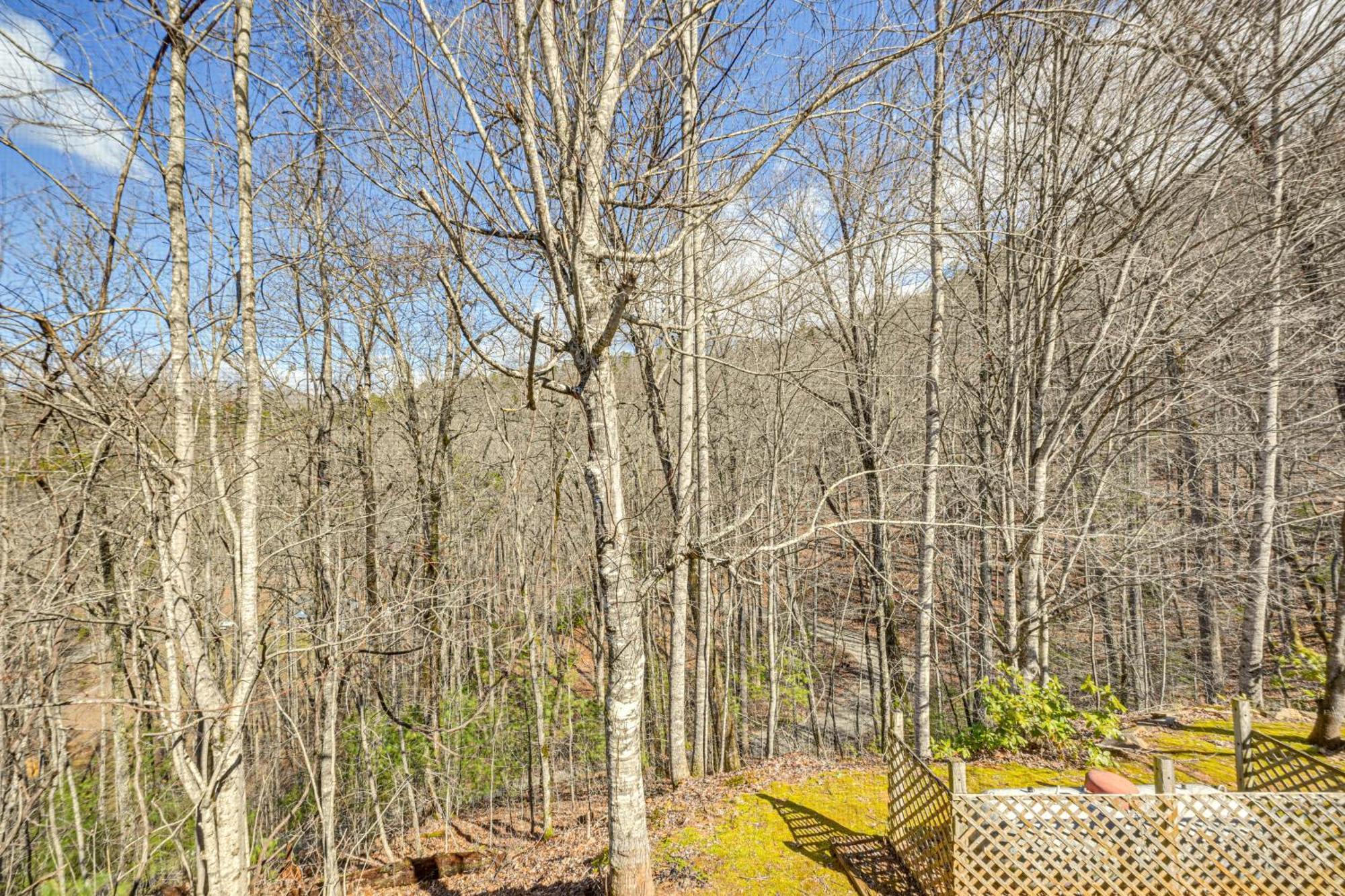 Bryson City Cabin With Hot Tub, Views And Pool Table! Exterior photo